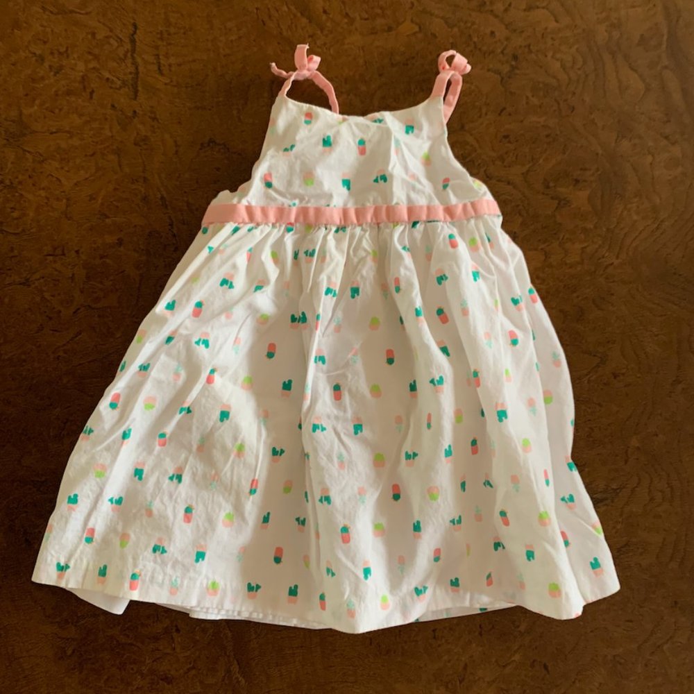 Gymboree Girls Cactus Dress Size 12-18 Months
